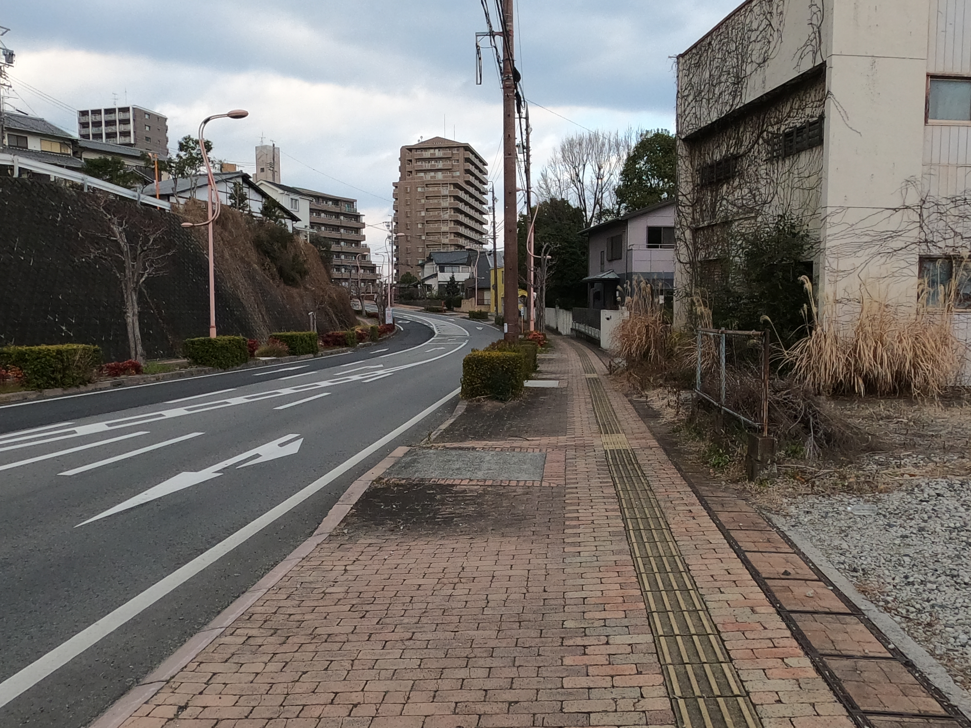 津市大谷町　土地