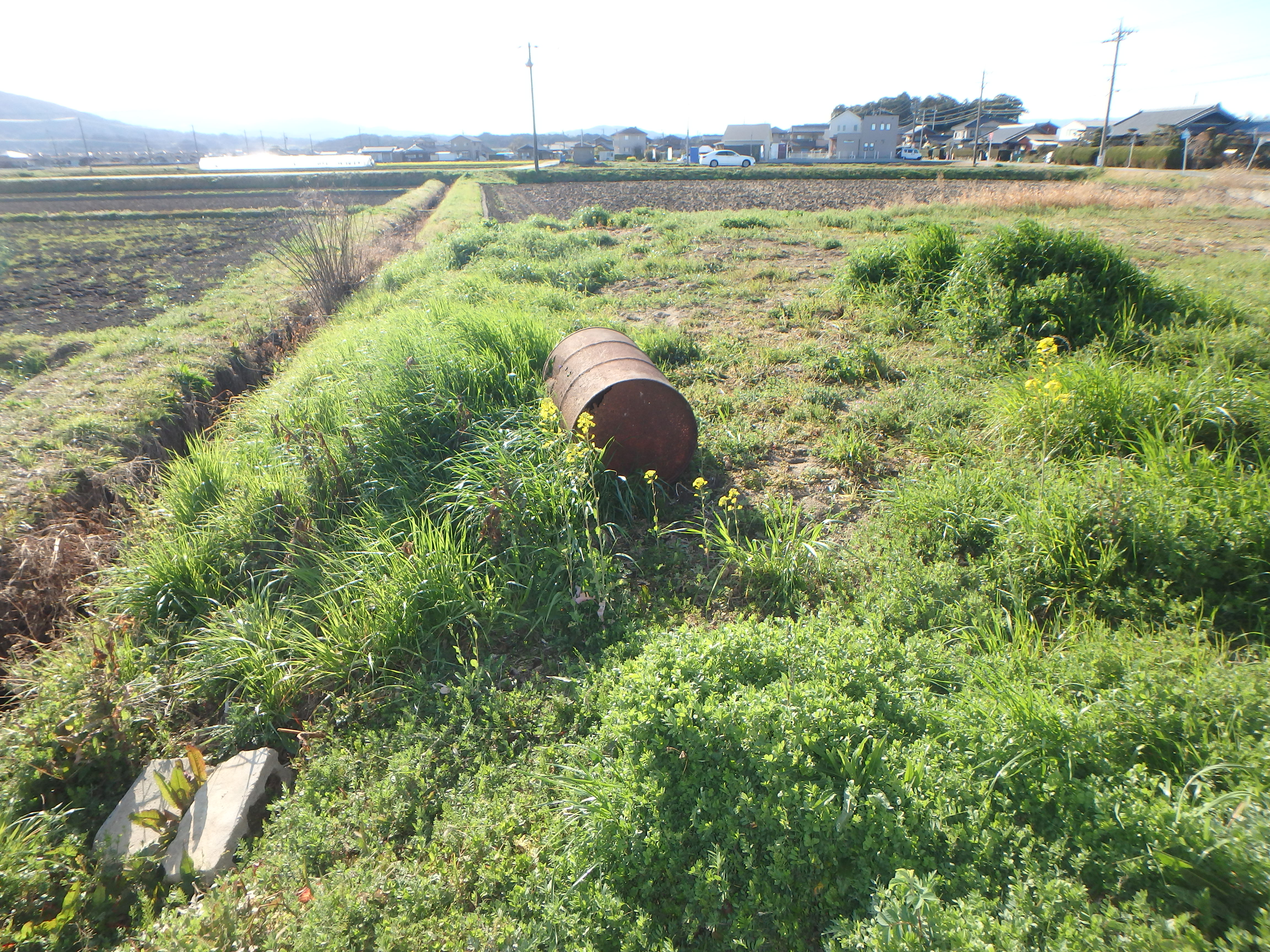 嬉野津屋城町　土地