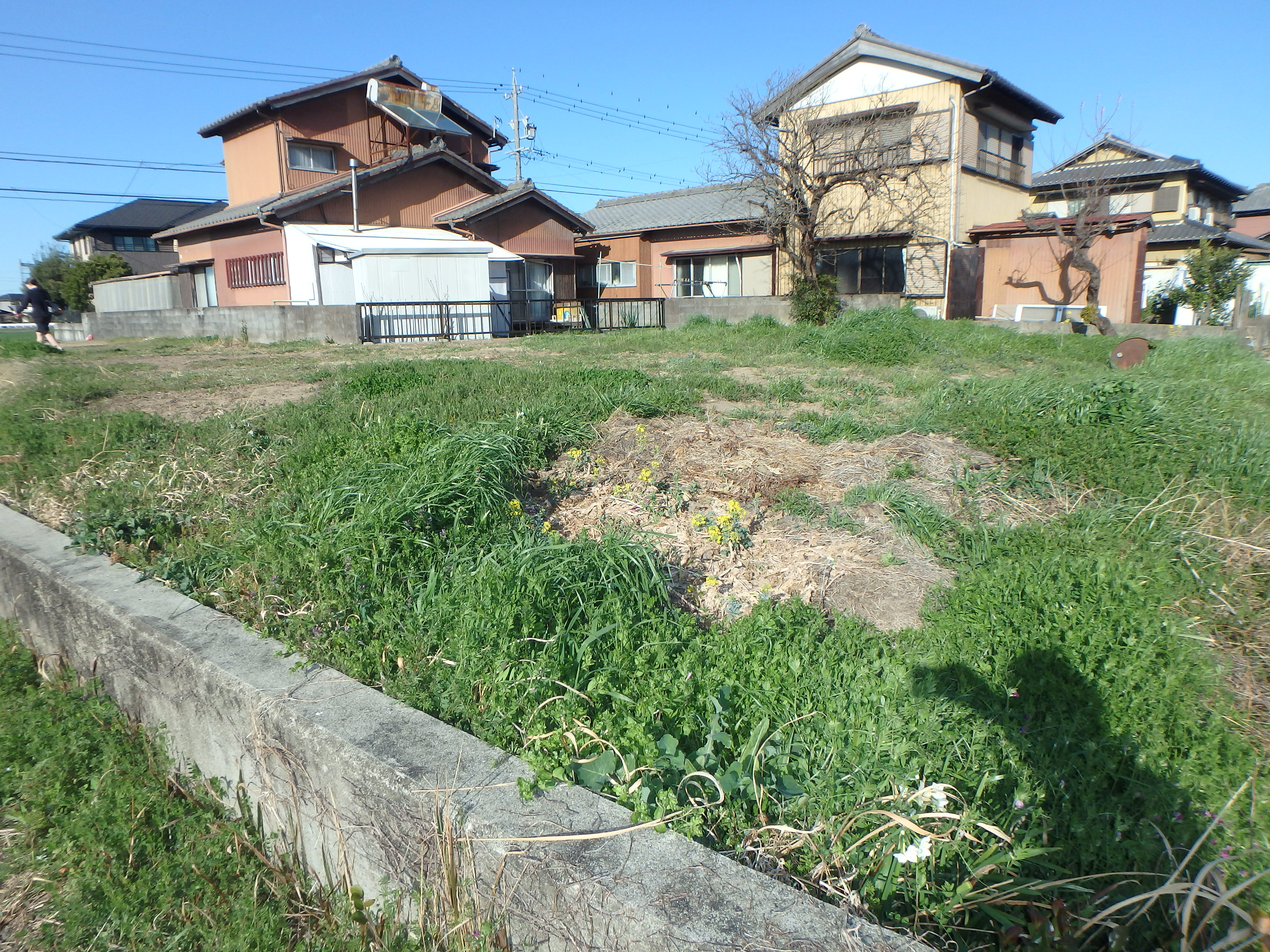 嬉野津屋城町　土地