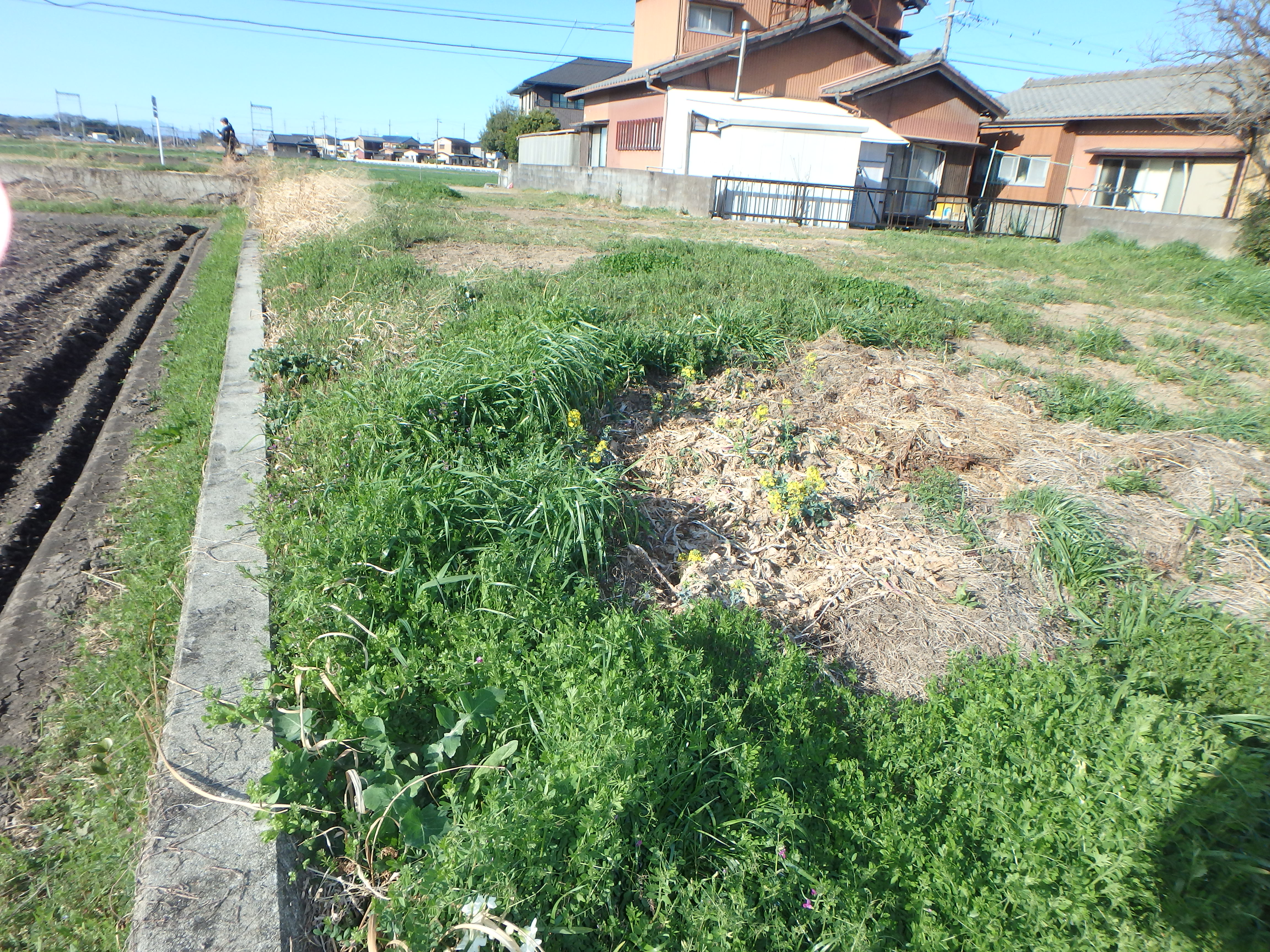 嬉野津屋城町　土地