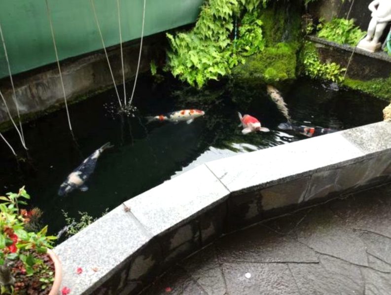 松阪市南町　一戸建